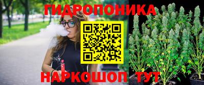 дурь Новокубанск