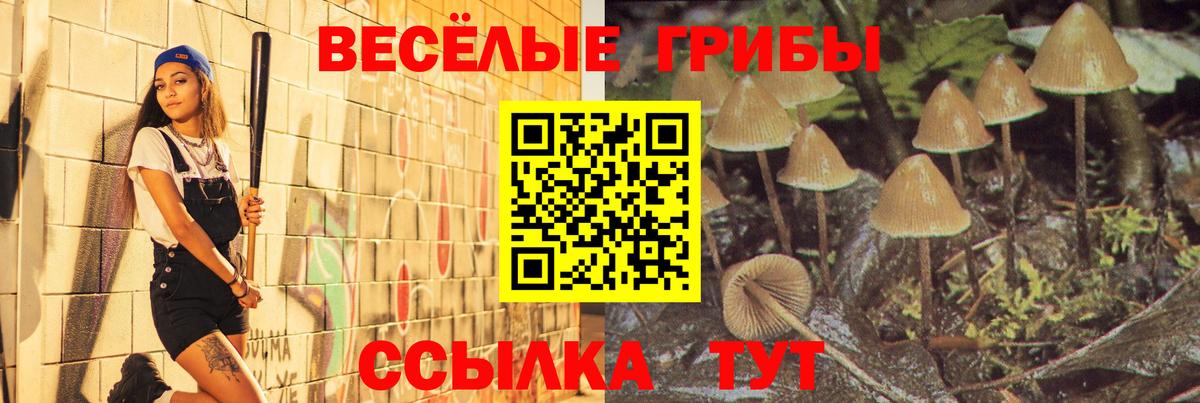 Феодосия  Галлюциногенные грибы ЛСД  Вход с VPN 